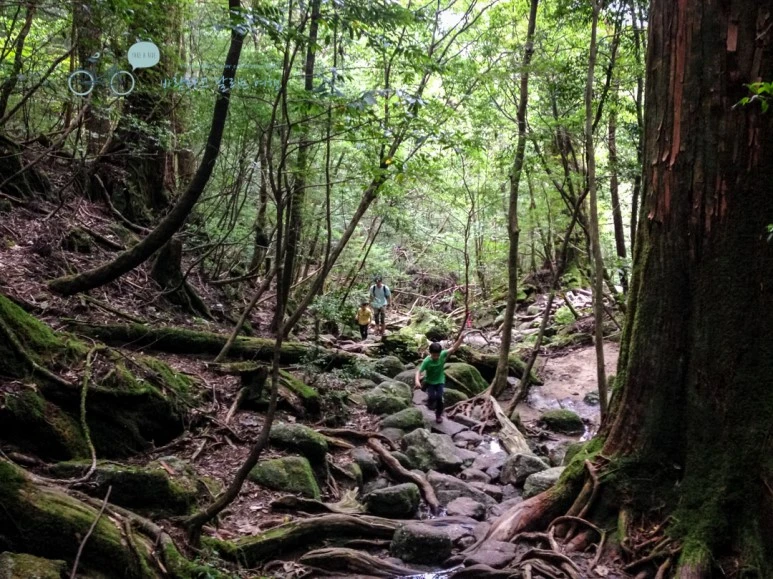 IMG_7948_wide1080mark.jpg?type=w773