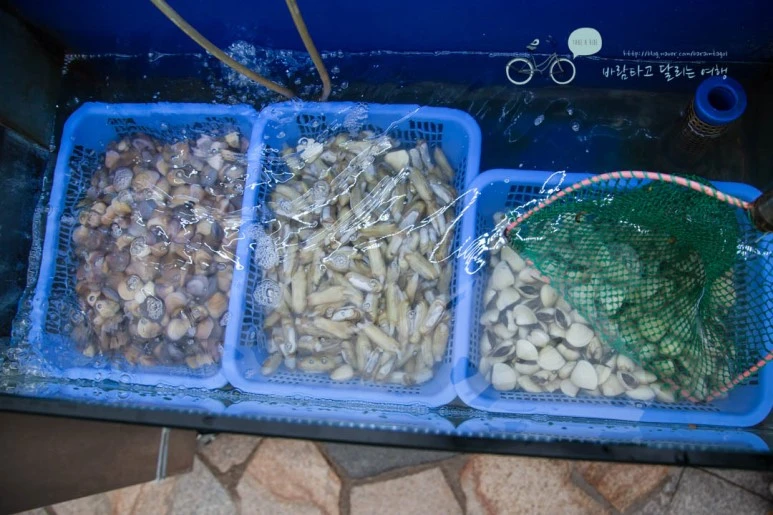 IMG_1061_wide1080%EB%B0%94%EB%9E%8Cmark.jpg?type=w773