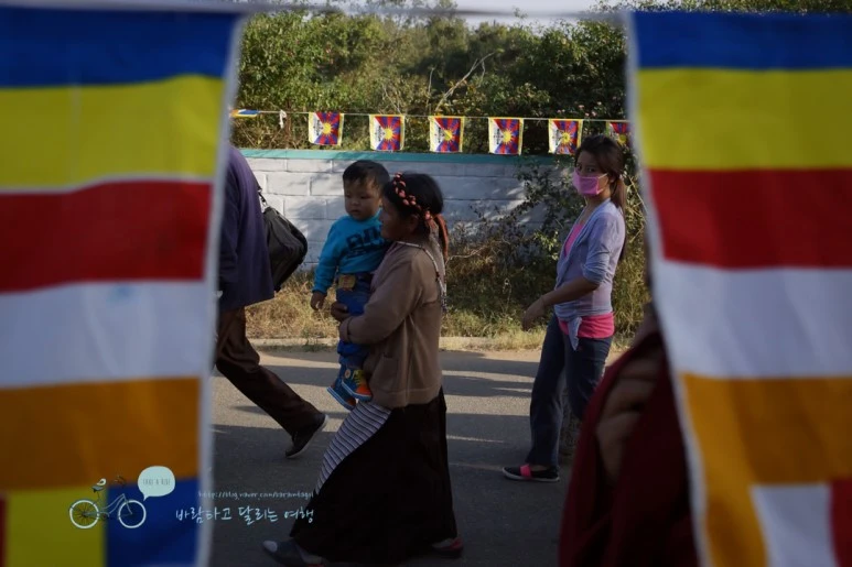 DSC00084.jpg?type=w773