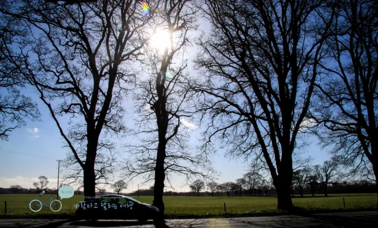 IMG_3538.jpg?type=w773