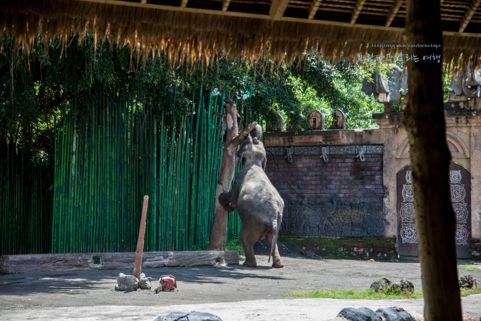 5D_IMG_2587_Short1200mark%EB%B0%94%EB%9E%8C.jpg?type=w1