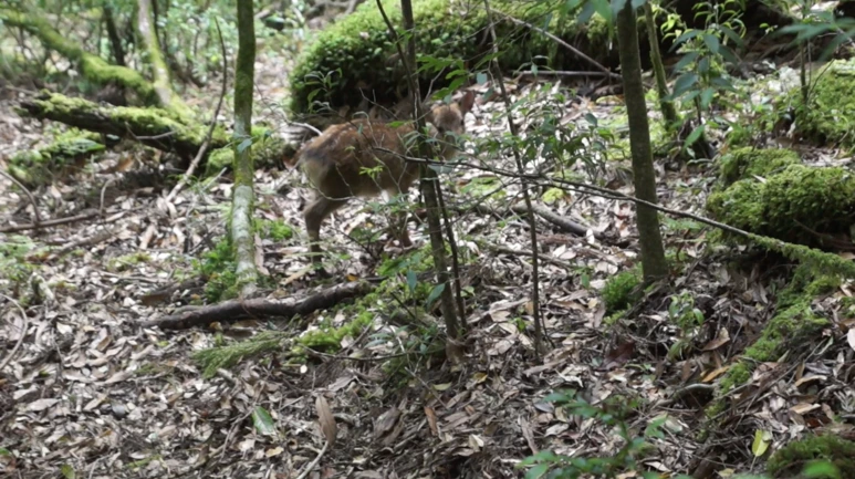 %EC%8A%A4%ED%81%AC%EB%A6%B0%EC%83%B7_2017-02-03_11.14.00.png?type=w773