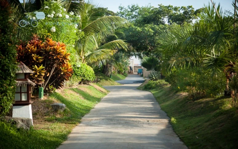 IMG_1297_Wide1080mark%EB%B0%94%EB%9E%8C%ED%83%80%EA%B3%A0.jpg?type=w773