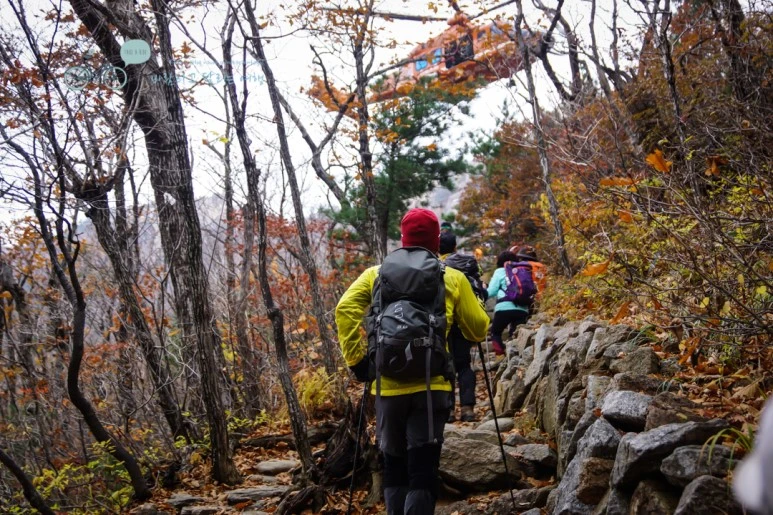 DSC05566_wide1080mark.jpg?type=w773