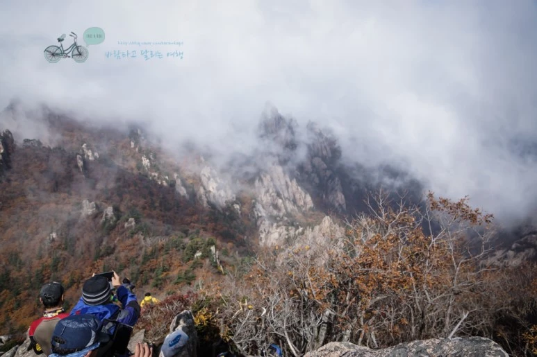 DSC05517_wide1080mark.jpg?type=w773