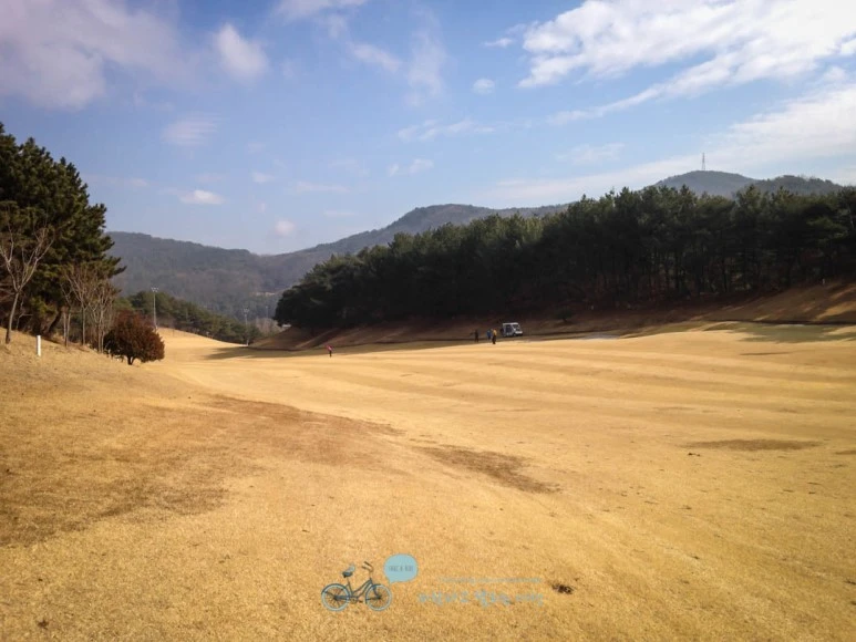 IMG_1629-_Wide1080mark.jpg?type=w773