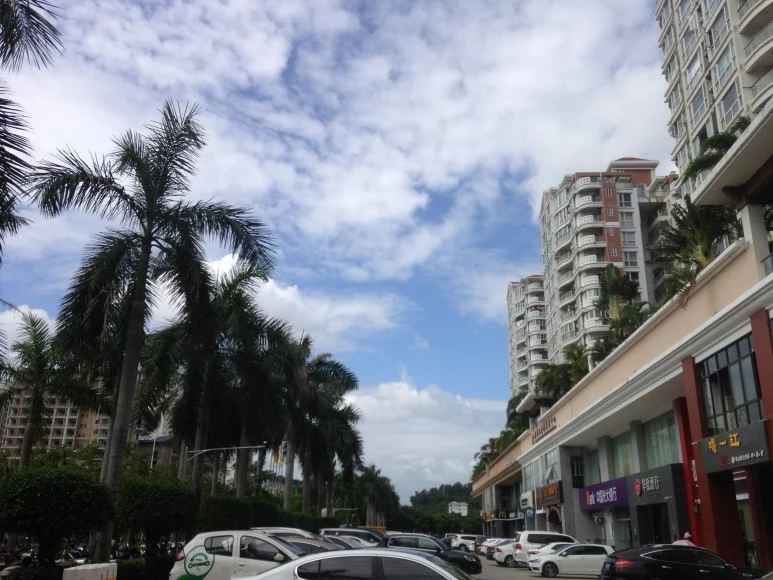 IMG_2720.jpeg?type=w773