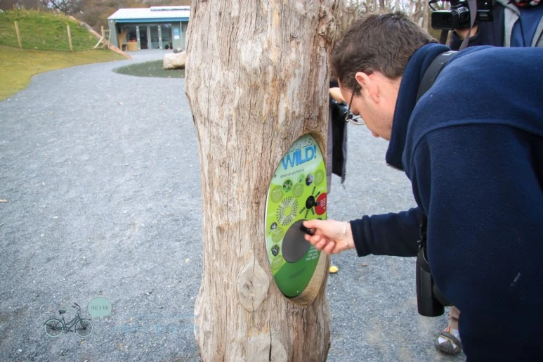 IMG_3203.jpg?type=w773