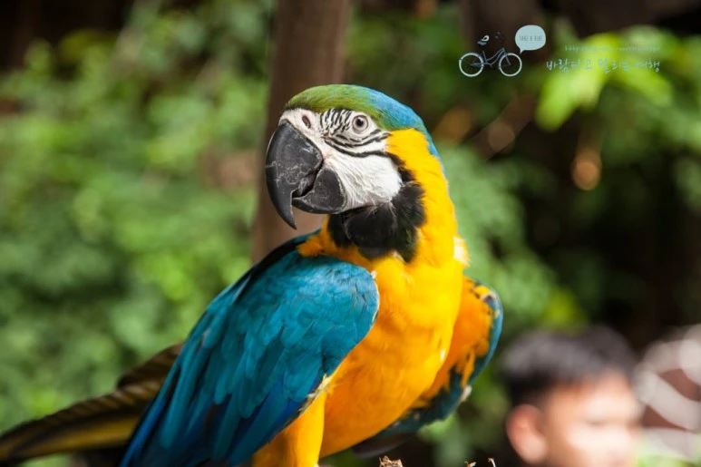 IMG_0776_wide1080%EB%B0%94%EB%9E%8Cmark.jpg?type=w773