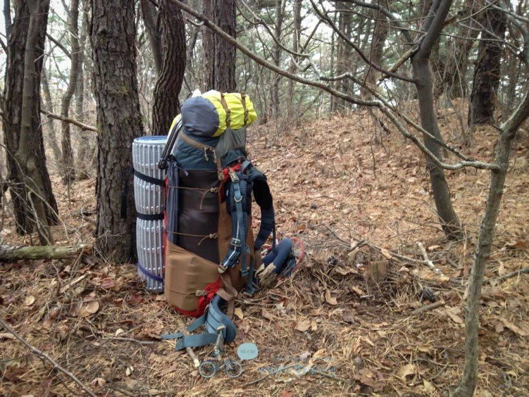 IMG_1436-_Wide1080mark.jpg?type=w773