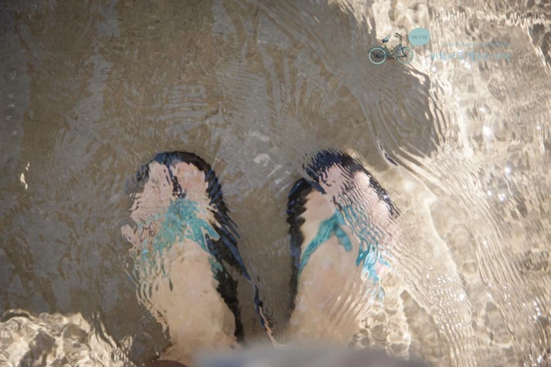 IMG_2082_Wide1080mark%EB%B0%94%EB%9E%8C%ED%83%80%EA%B3%A0.jpg?type=w773