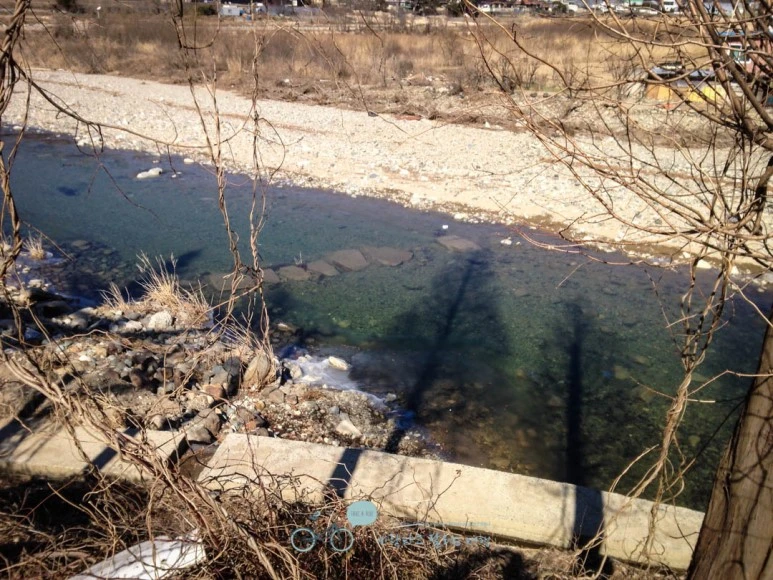 IMG_1752-_Wide1080mark.jpg?type=w773