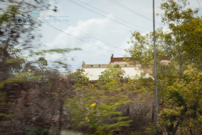 IMG_1557_Wide1080mark%EB%B0%94%EB%9E%8C%ED%83%80%EA%B3%A0.jpg?type=w773