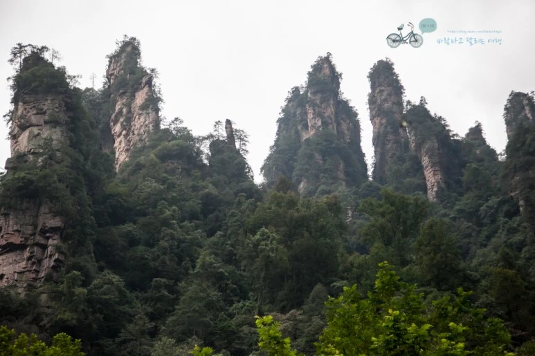 IMG_1079_Wide1080mark%EB%B0%94%EB%9E%8C.jpg?type=w773