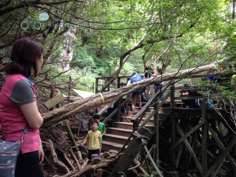 IMG_1450_wide1080.jpg?type=w773