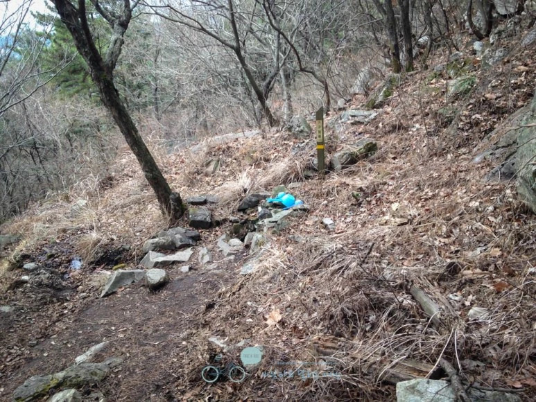 IMG_1309-_Wide1080mark%EB%B0%94%EB%9E%8C.jpg?type=w773