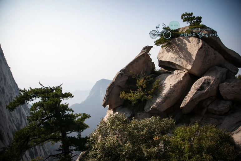 IMG_0335_Wide1080_mark%EB%B0%94%EB%9E%8C.jpg?type=w773