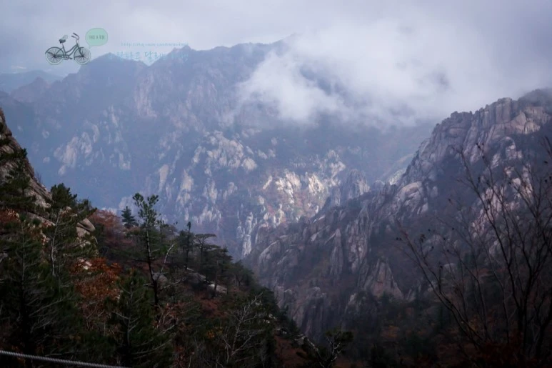 DSC05445_wide1080mark.jpg?type=w773