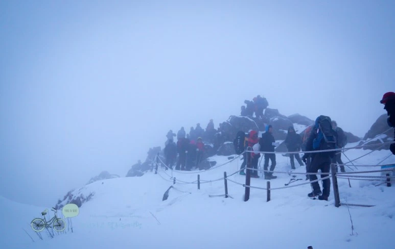 DSC00222.jpg?type=w773