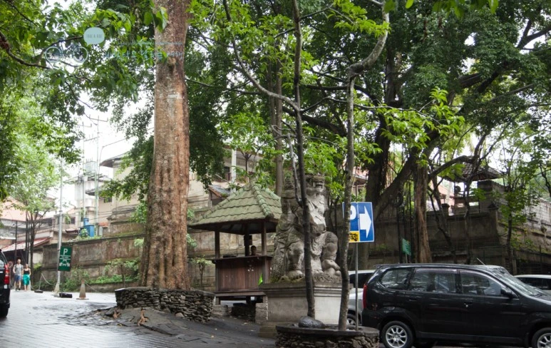 IMG_0088_Wide1080mark%EB%B0%94%EB%9E%8C%ED%83%80%EA%B3%A0-2.jpg?type=w773