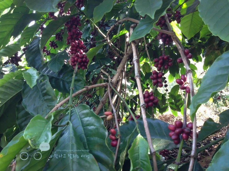 IMG_2820.jpg?type=w773