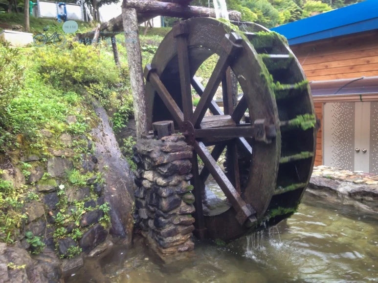 IMG_1746_wide1080mark.jpg?type=w773