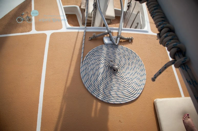 IMG_0051_Wide1080mark%EB%B0%94%EB%9E%8C%ED%83%80%EA%B3%A0-2.jpg?type=w773