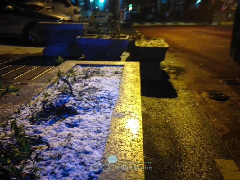 IMG_1329-_Wide1080mark%EB%B0%94%EB%9E%8C.jpg?type=w773