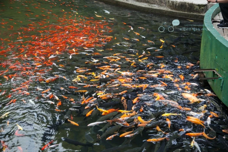 IMG_1460_Wide1080mark%EB%B0%94%EB%9E%8C.jpg?type=w773