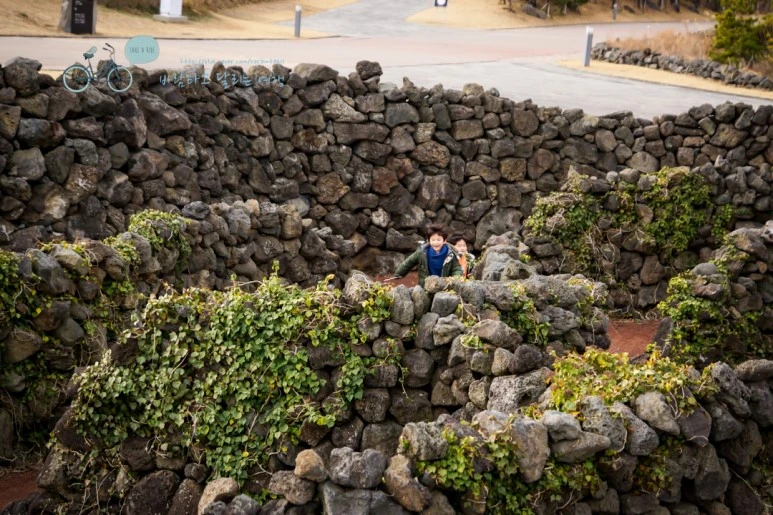 DSC00082_3.jpg?type=w773