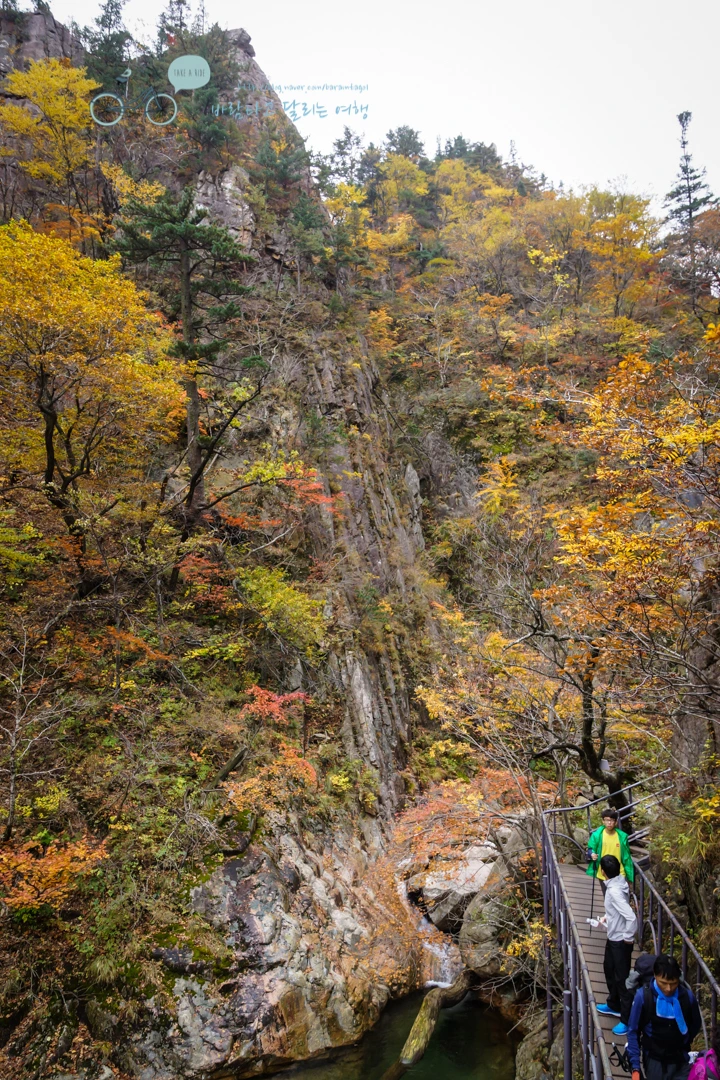 DSC05587_wide1080mark.jpg?type=w773