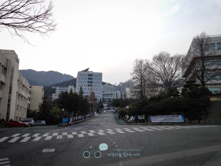 IMG_1874-_Wide1080mark.jpg?type=w773