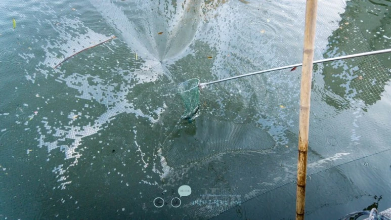 DSC04876_wide1080mark%EB%B0%94%EB%9E%8C.jpg?type=w773