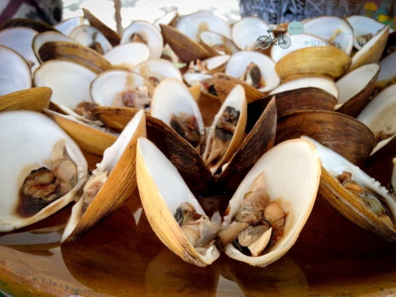 IMG_0423_Wide1080mark%EB%B0%94%EB%9E%8C%ED%83%80%EA%B3%A0.jpg?type=w773