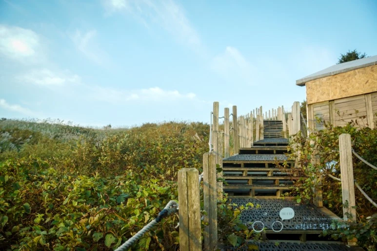 DSC04513_wide1080mark.jpg?type=w773