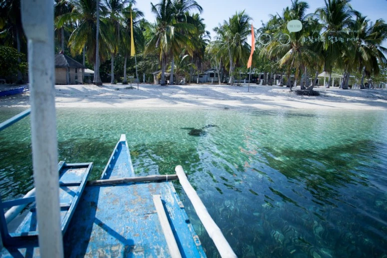 IMG_0329_Wide1080mark%EB%B0%94%EB%9E%8C%ED%83%80%EA%B3%A0.jpg?type=w773