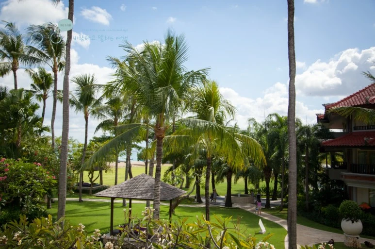 IMG_0203_Wide1080mark%EB%B0%94%EB%9E%8C%ED%83%80%EA%B3%A0.jpg?type=w773