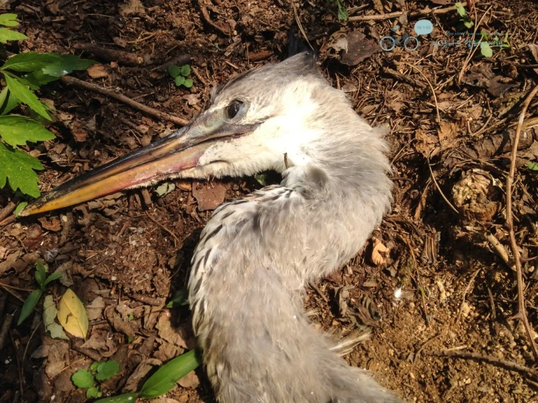 IMG_2349_Wide1080mark%EB%B0%94%EB%9E%8C.jpg?type=w773