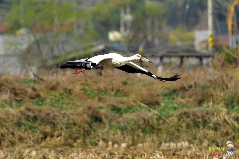 201604191461060632.jpg?type=w773