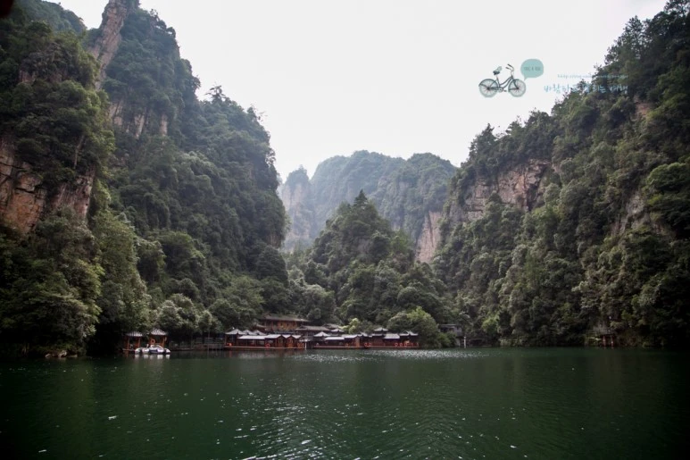 IMG_1371_Wide1080mark%EB%B0%94%EB%9E%8C.jpg?type=w773