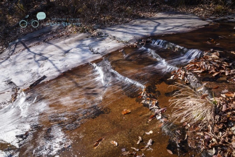 DSC06067_wide1080mark.jpg?type=w773