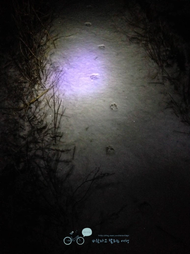 IMG_1333-_Wide1080mark%EB%B0%94%EB%9E%8C.jpg?type=w773