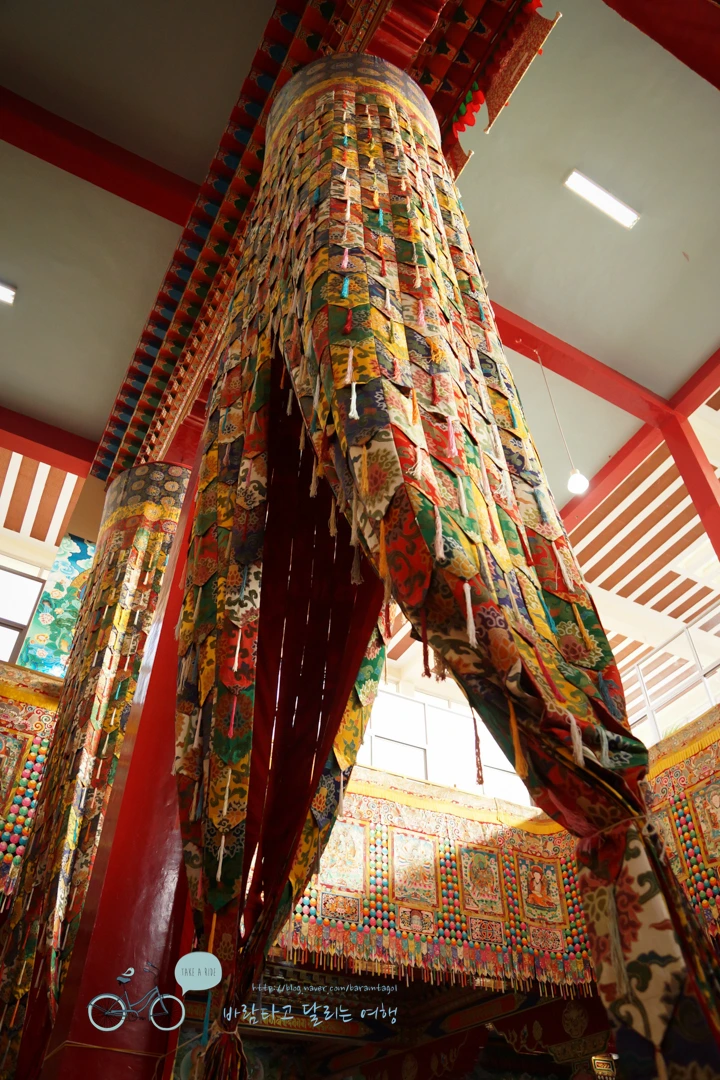 DSC00109.jpg?type=w773