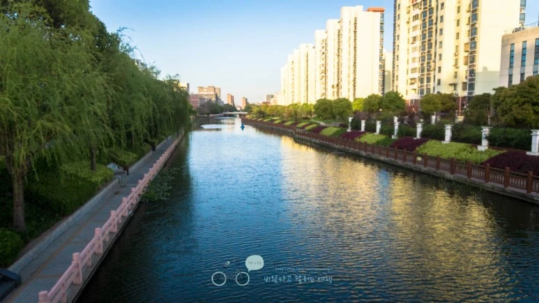 DSC04853_wide1080mark%EB%B0%94%EB%9E%8C.jpg?type=w773