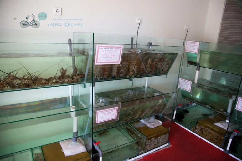 IMG_0356_Wide1080mark%EB%B0%94%EB%9E%8C%ED%83%80%EA%B3%A0.jpg?type=w773