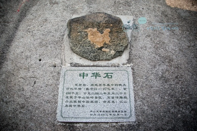 IMG_0472_Wide1080_mark%EB%B0%94%EB%9E%8C.jpg?type=w773