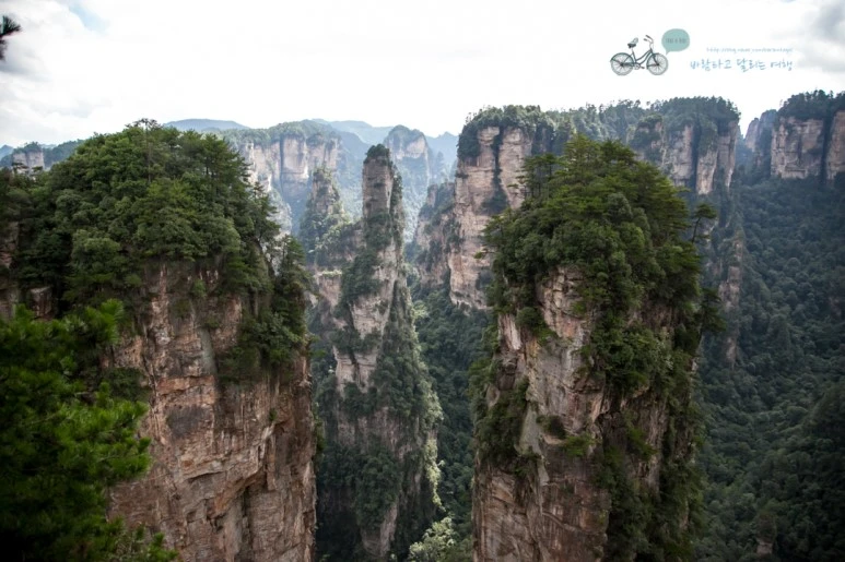 IMG_1287_Wide1080mark%EB%B0%94%EB%9E%8C.jpg?type=w773