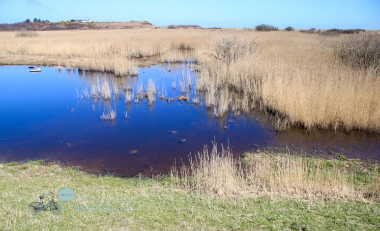 IMG_3729.jpg?type=w773