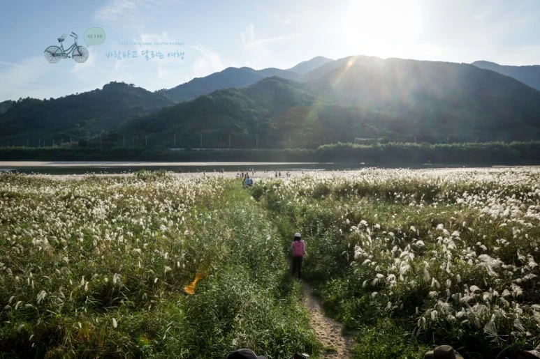 DSC05090_wide1080mark.jpg?type=w773