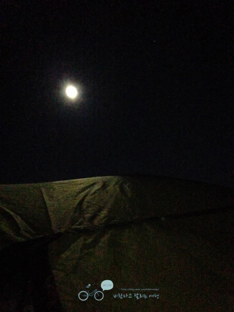 IMG_1338-_Wide1080mark%EB%B0%94%EB%9E%8C.jpg?type=w773